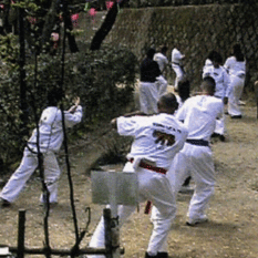 karate